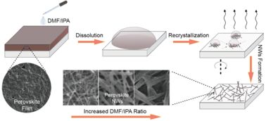 朱嘉教授課題組在有機(jī) 無(wú)機(jī)雜化型鈣鈦礦納米線制備及其光電器件應(yīng)用的研究中取得進(jìn)展