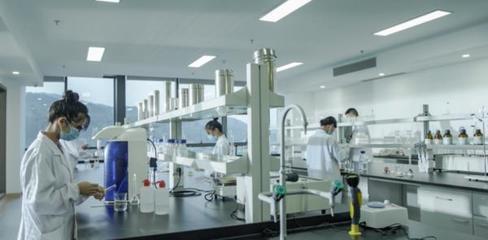 守正創(chuàng)新,理想華萊引領(lǐng)黑茶產(chǎn)業(yè)新變革